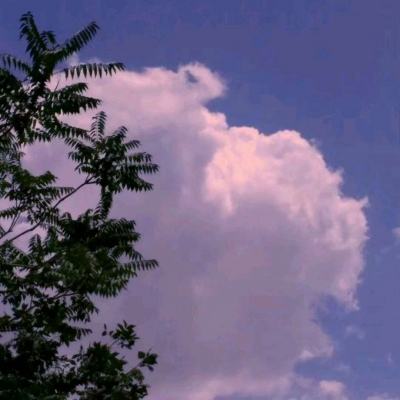 天使之城手游下载